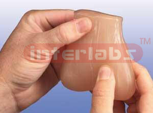 testicle tumor examination model